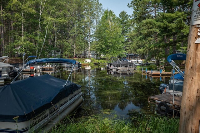 dock area with a water view