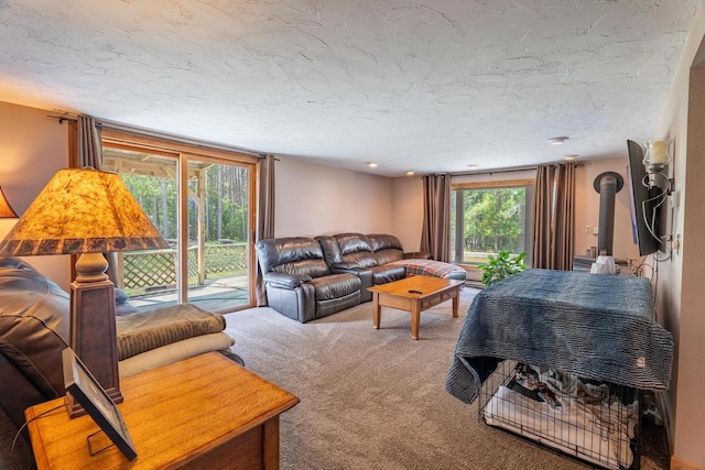 living room featuring a textured ceiling, carpet floors, and a wood stove