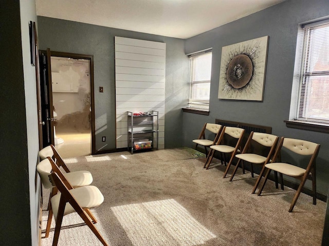 living area featuring carpet floors