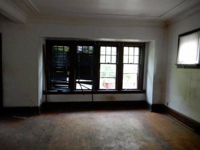 spare room with a wealth of natural light, crown molding, and baseboards