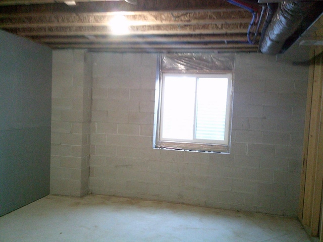 basement with concrete block wall