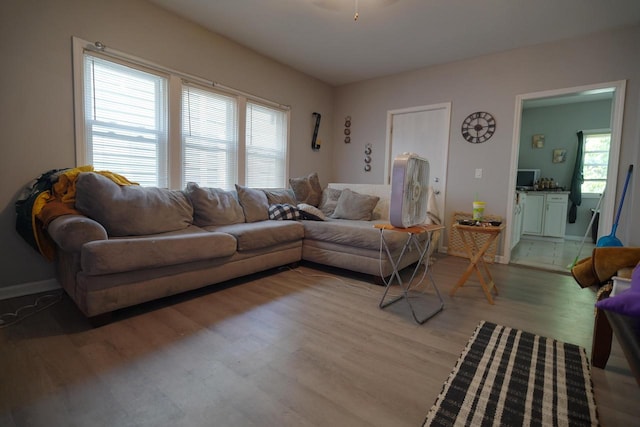 living room featuring a healthy amount of sunlight and hardwood / wood-style flooring