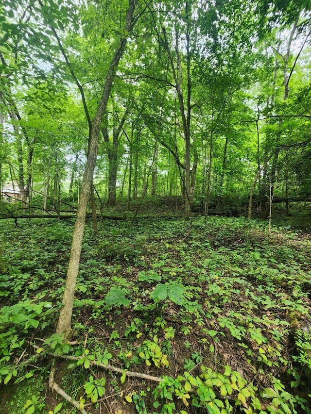 LOT8 Parkway Dr, Poynette WI, 53955 land for sale