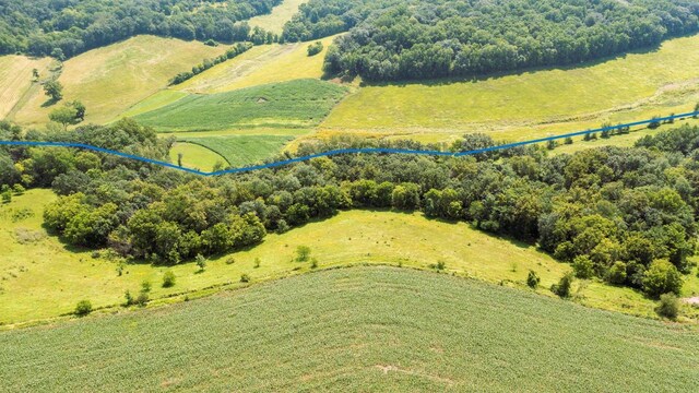 birds eye view of property with a rural view