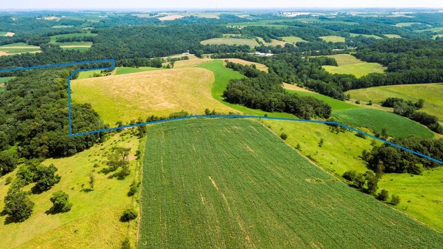 bird's eye view featuring a rural view