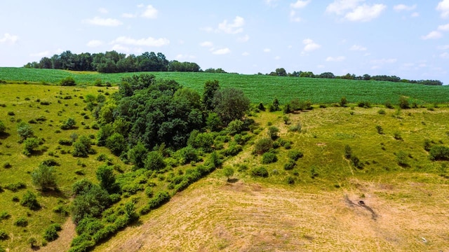 view of local wilderness with a rural view