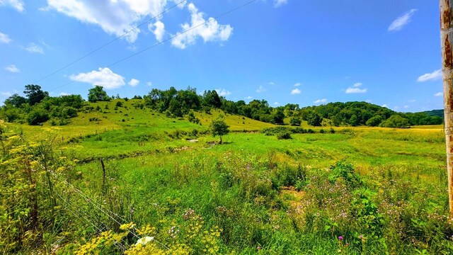 view of nature with a rural view