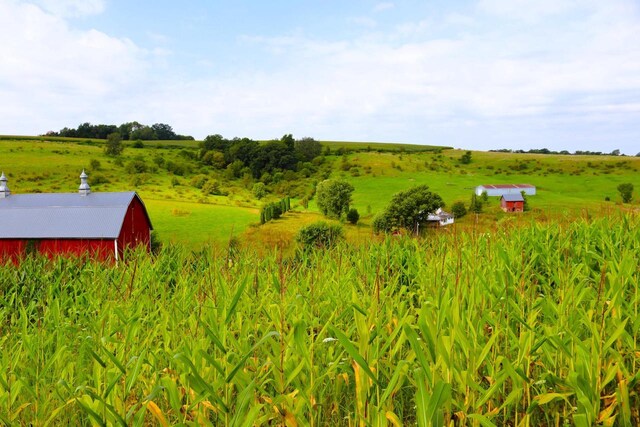 view of yard featuring a rural view