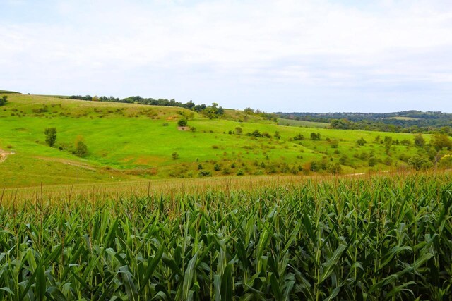 view of local wilderness featuring a rural view