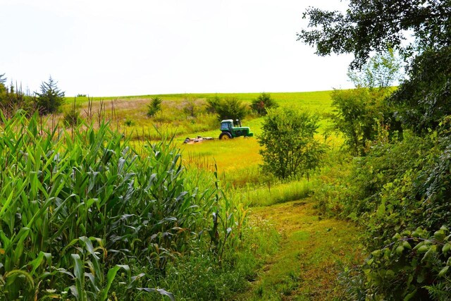 view of landscape featuring a rural view