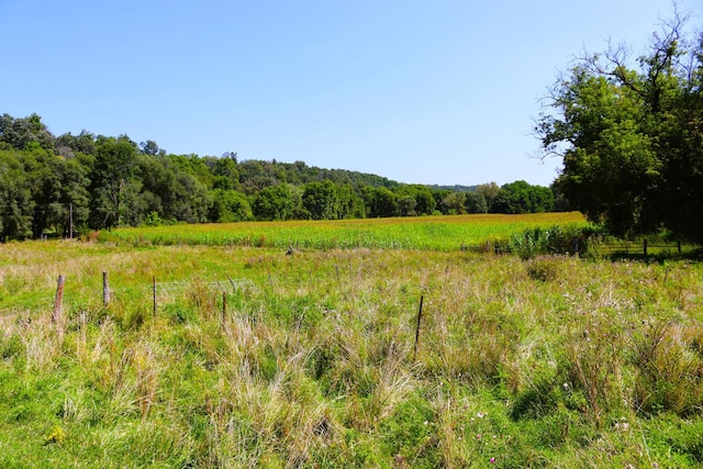 view of nature featuring a rural view