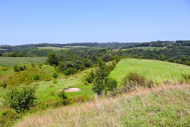 view of local wilderness featuring a rural view