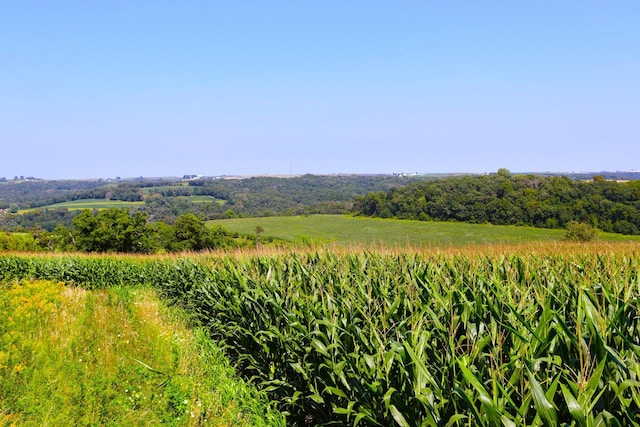 view of nature featuring a rural view