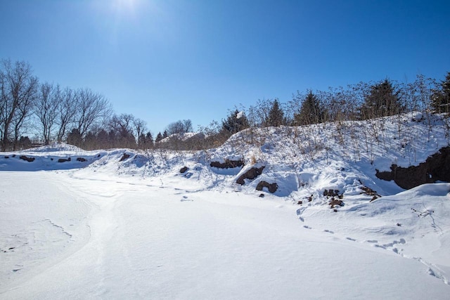 view of yard layered in snow