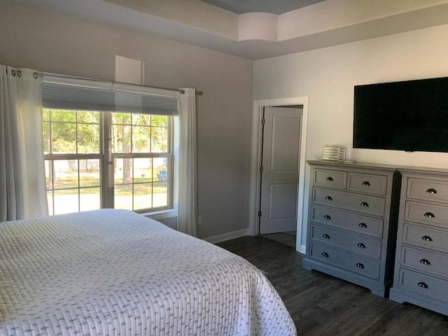 bedroom with a raised ceiling and dark hardwood / wood-style flooring