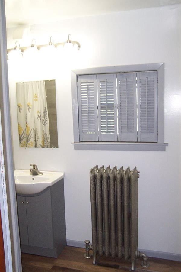 bathroom with radiator, hardwood / wood-style flooring, and vanity