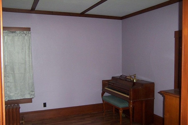 miscellaneous room featuring radiator and hardwood / wood-style flooring