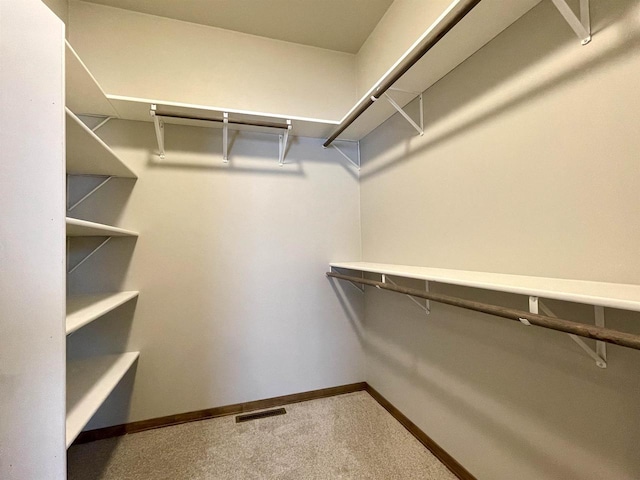 spacious closet featuring carpet floors