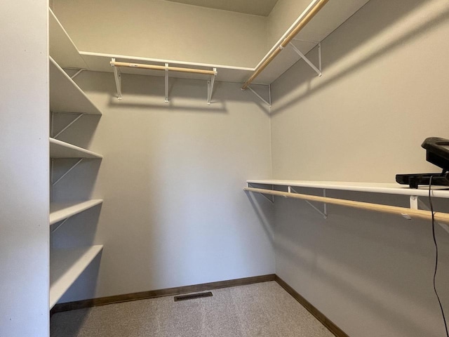 spacious closet featuring carpet flooring