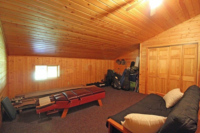 7750 Pine Rd, Arena, WI 53503 - playroom featuring lofted ceiling, wooden walls, and carpet flooring