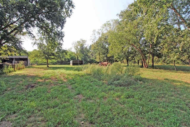 7750 Pine Rd, Arena, WI 53503 - view of yard