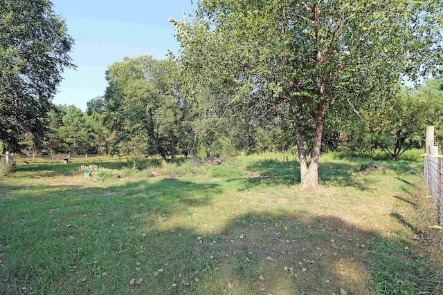 7750 Pine Rd, Arena, WI 53503 - view of yard