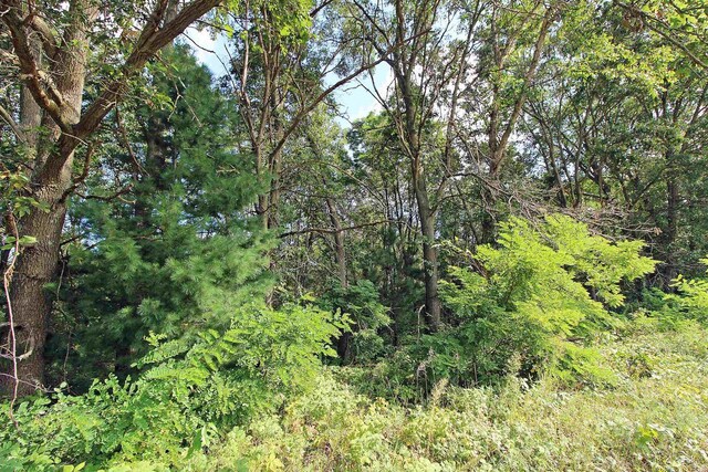 7750 Pine Rd, Arena, WI 53503 - view of landscape featuring a forest view