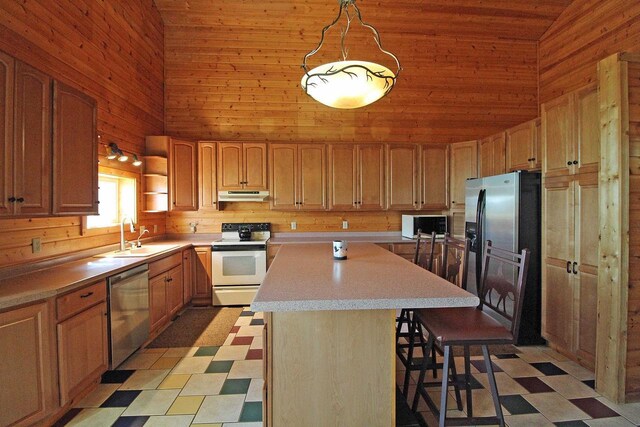 7750 Pine Rd, Arena, WI 53503 - kitchen with a sink, wooden walls, light floors, appliances with stainless steel finishes, and under cabinet range hood