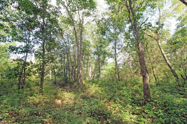 7750 Pine Rd, Arena, WI 53503 - view of local wilderness with a view of trees