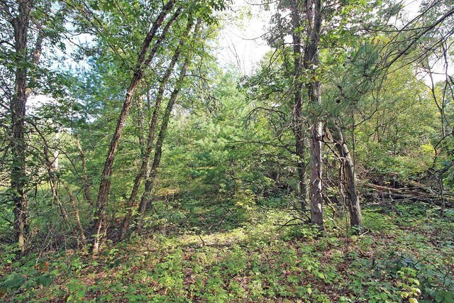 7750 Pine Rd, Arena, WI 53503 - view of landscape with a wooded view