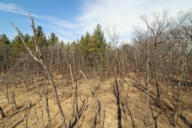 7750 Pine Rd, Arena, WI 53503 - view of local wilderness with a view of trees