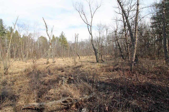 7750 Pine Rd, Arena, WI 53503 - view of landscape