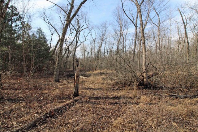 7750 Pine Rd, Arena, WI 53503 - view of local wilderness