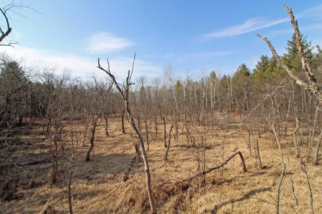 7750 Pine Rd, Arena, WI 53503 - view of local wilderness