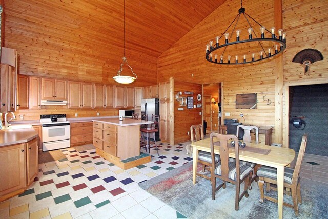7750 Pine Rd, Arena, WI 53503 - kitchen with light countertops, wood walls, stainless steel fridge, under cabinet range hood, and white range with electric stovetop