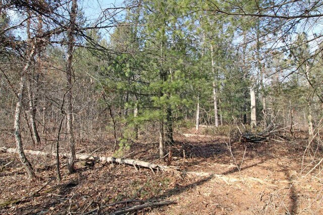 7750 Pine Rd, Arena, WI 53503 - view of landscape