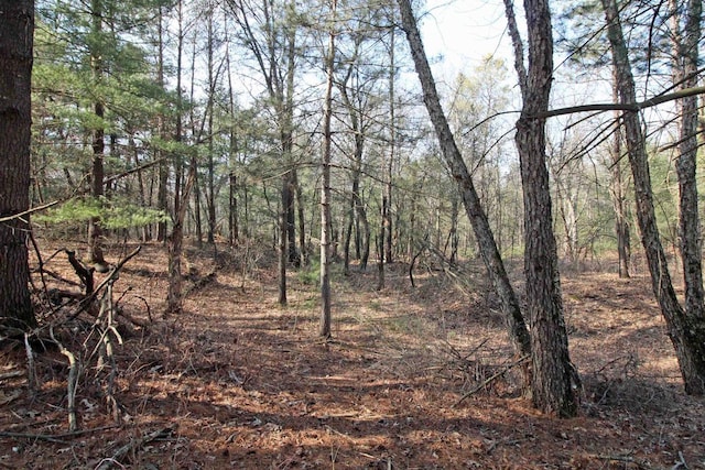 7750 Pine Rd, Arena, WI 53503 - view of landscape