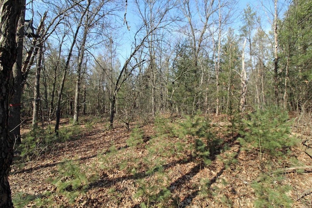 7750 Pine Rd, Arena, WI 53503 - view of landscape featuring a view of trees