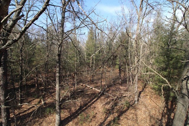 7750 Pine Rd, Arena, WI 53503 - view of nature with a wooded view