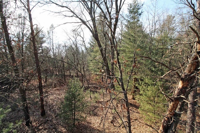 7750 Pine Rd, Arena, WI 53503 - view of local wilderness featuring a view of trees