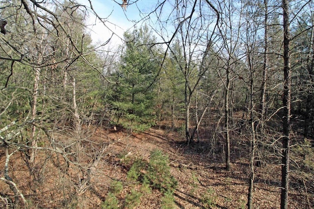 7750 Pine Rd, Arena, WI 53503 - view of landscape featuring a wooded view