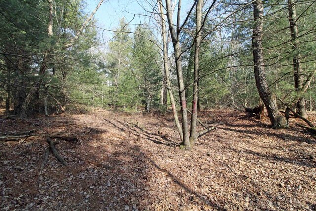 7750 Pine Rd, Arena, WI 53503 - view of local wilderness featuring a view of trees