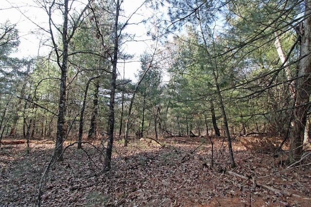 7750 Pine Rd, Arena, WI 53503 - view of nature featuring a wooded view