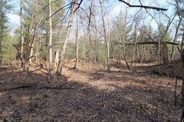 7750 Pine Rd, Arena, WI 53503 - view of landscape