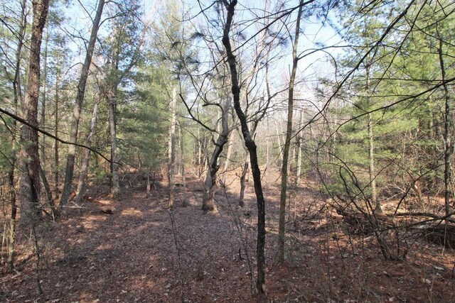 7750 Pine Rd, Arena, WI 53503 - view of landscape with a wooded view