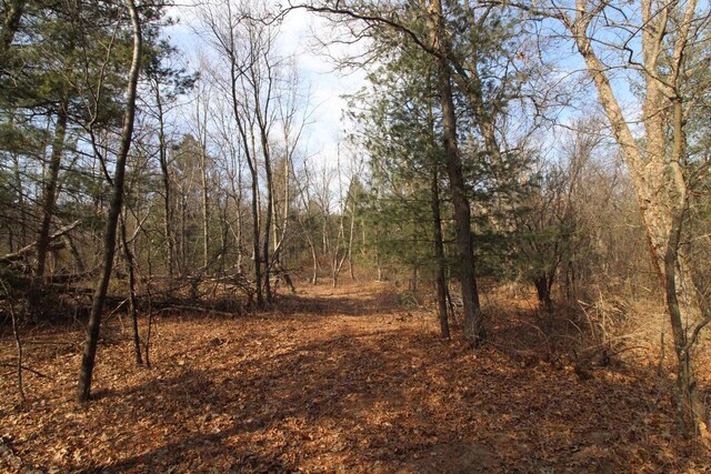 7750 Pine Rd, Arena, WI 53503 - view of local wilderness