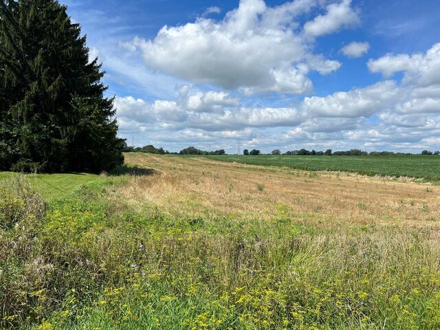 view of nature with a rural view