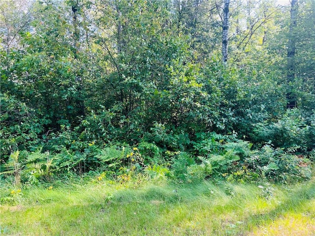 Listing photo 2 for LOTS1 Indian Trail Rd, Hayward WI 54843