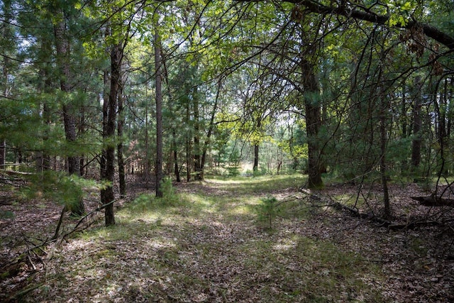 LOT4 Meadow Dr, New Lisbon WI, 53950 land for sale