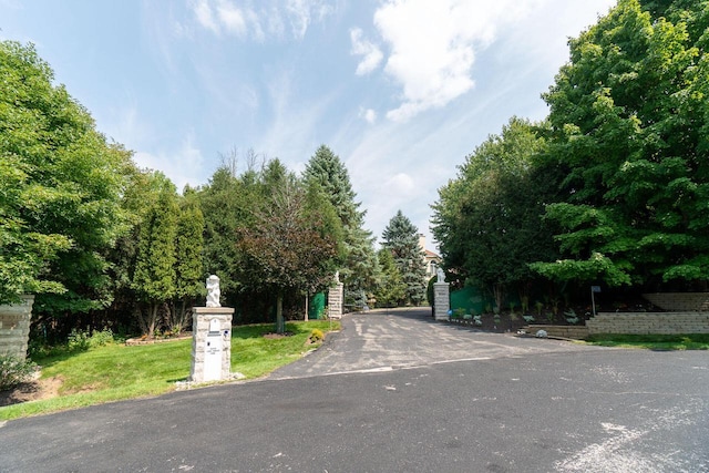 view of road with driveway and a gated entry